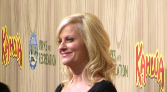 Amy Poehler