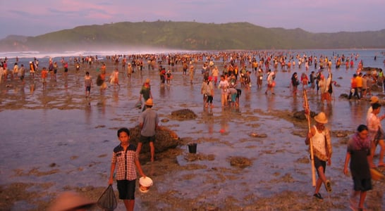 Bau Nyale Festival