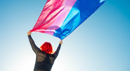 Celebrate Bisexuality Day