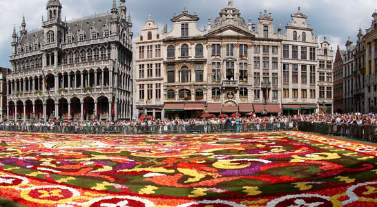 Brussels Flower Carpet