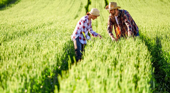 Canada’s Agriculture Day