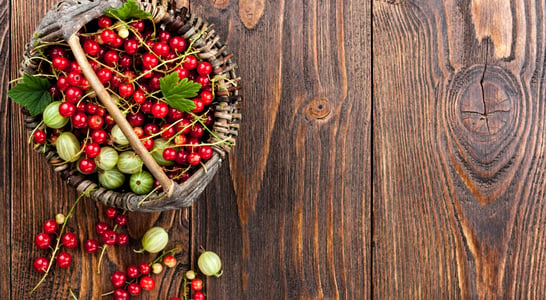 Cranberries and Gooseberries Month