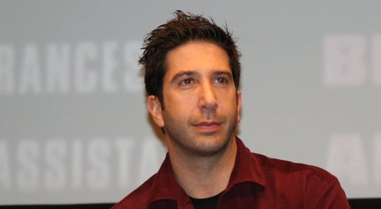 David Schwimmer