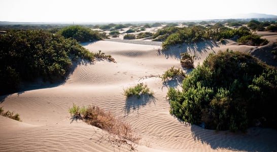 World Sand Dune Day