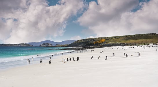 Falkland Islands Liberation Day