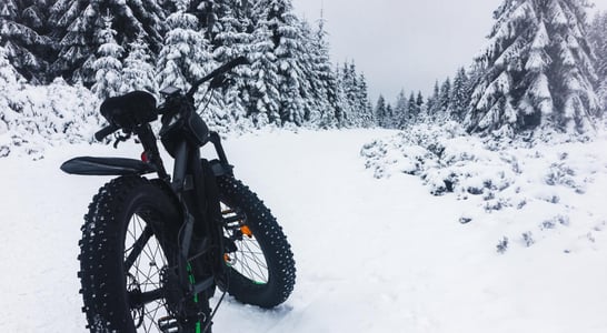 Global Fat Bike Day