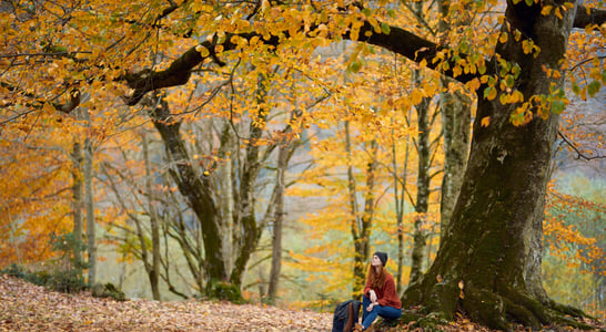 First Day of Autumn