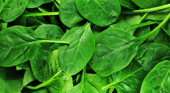 Fresh Spinach Day