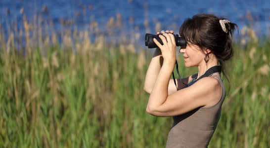 National Go Birding Day