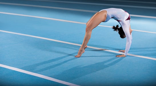 National Gymnastics Day