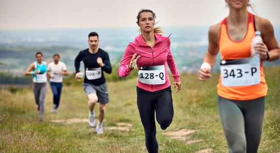 International Snowdon Race