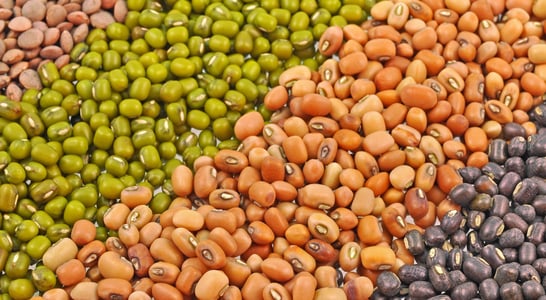 International Year of Pulses