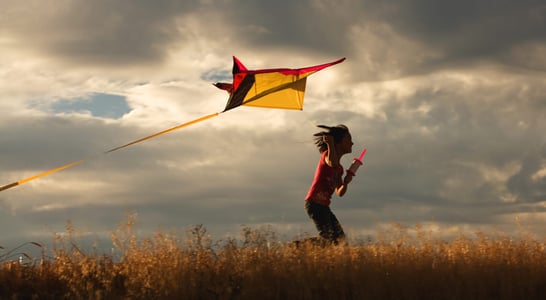 National Kite Flying Day