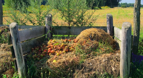 Learn About Composting Day