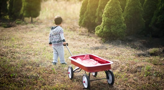 Little Red Wagon Day