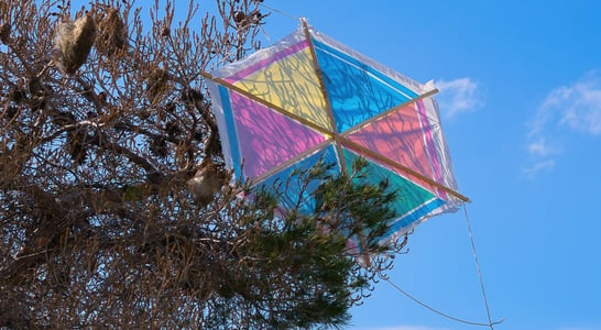 Makar Sankranti