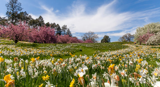 March Equinox