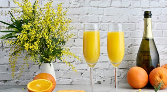 National Mimosa Day