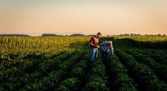 National Agriculture Day