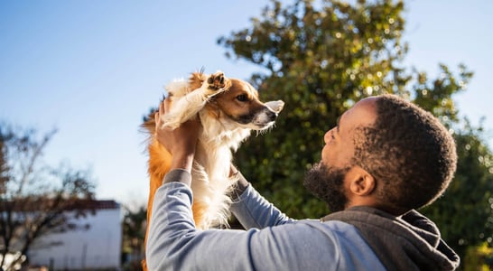 National AKC Responsible Dog Ownership Day