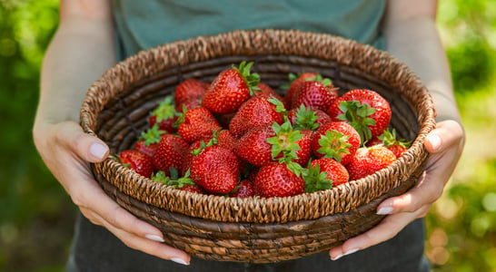 National California Strawberry Day