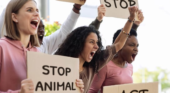 National Justice for Animals Week