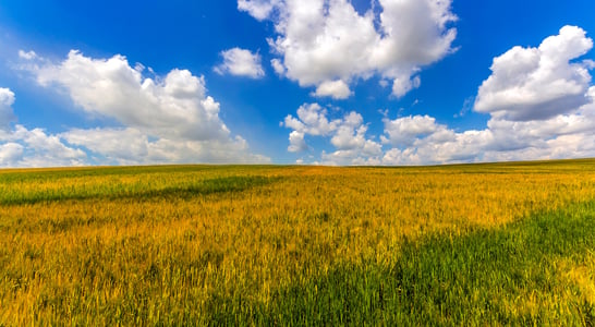 National Prairie Day