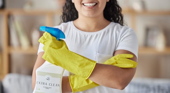 National Professional House Cleaners Day