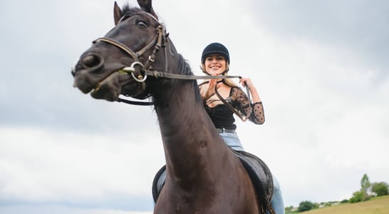 National Ride Your Horse to a Bar Day