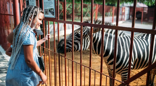 National Zoo Awareness Day