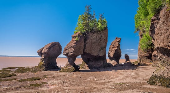 New Brunswick Day