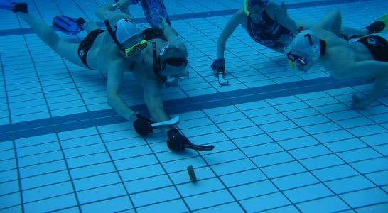 Underwater Hockey World Day