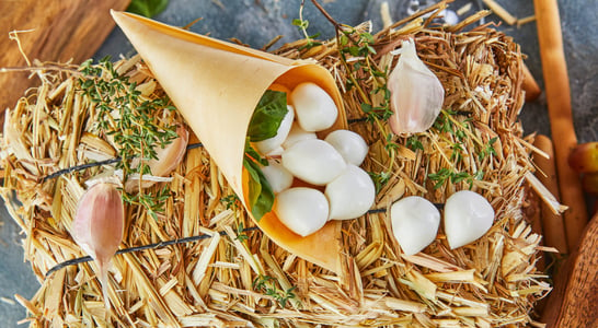 Ontario Garlic Week