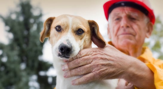 National Pet Fire Safety Day