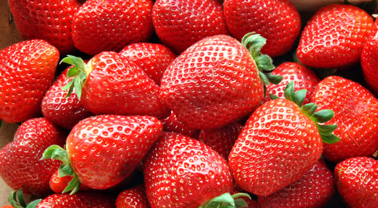 National Pick Strawberries Day