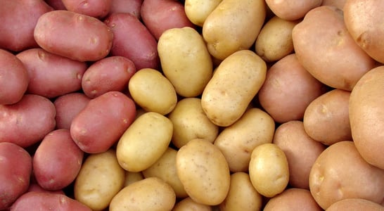 National Potato Day