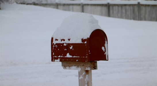 Snowplow Mailbox Hockey Day