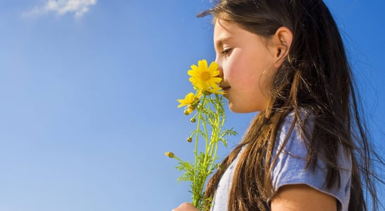 National Sense Of Smell Day