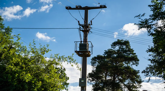 Telegraph Pole Appreciation Day