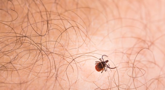 Tick Bite Prevention Week