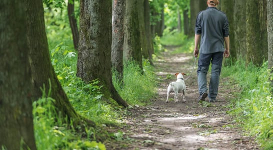 Walk Your Dog Week