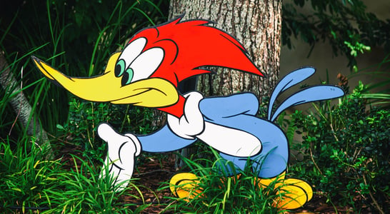 Woody Woodpecker Day