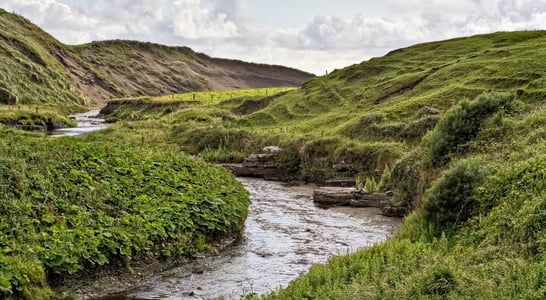 World Rivers Day