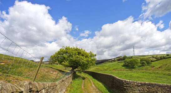 Yorkshire Day