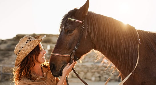 Horse Rescue Day