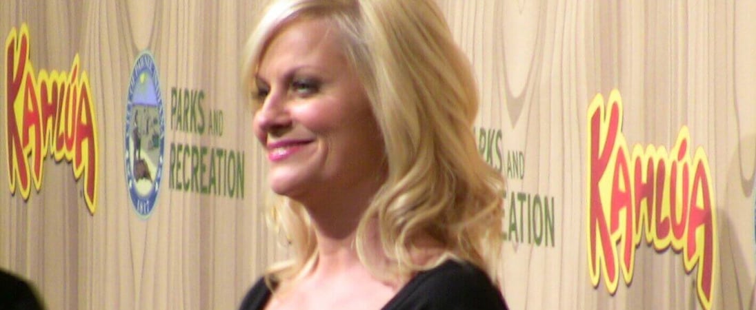 Amy Poehler