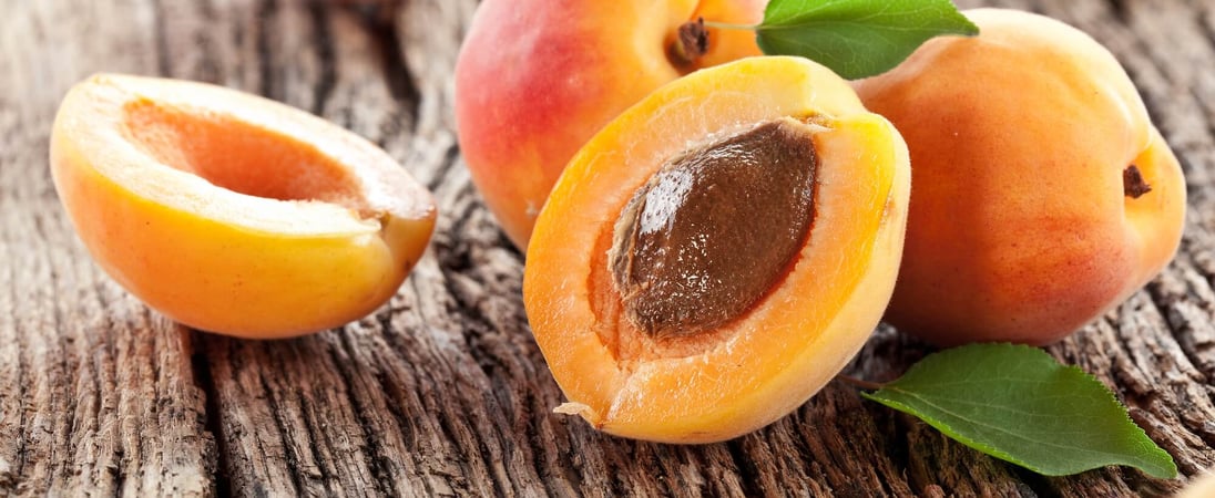 National Apricot Day