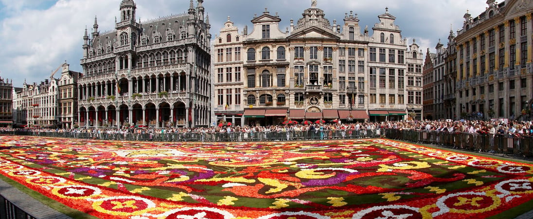 Brussels Flower Carpet