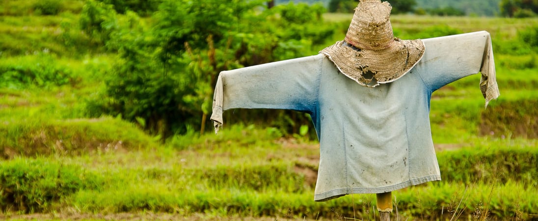 Build A Scarecrow Day