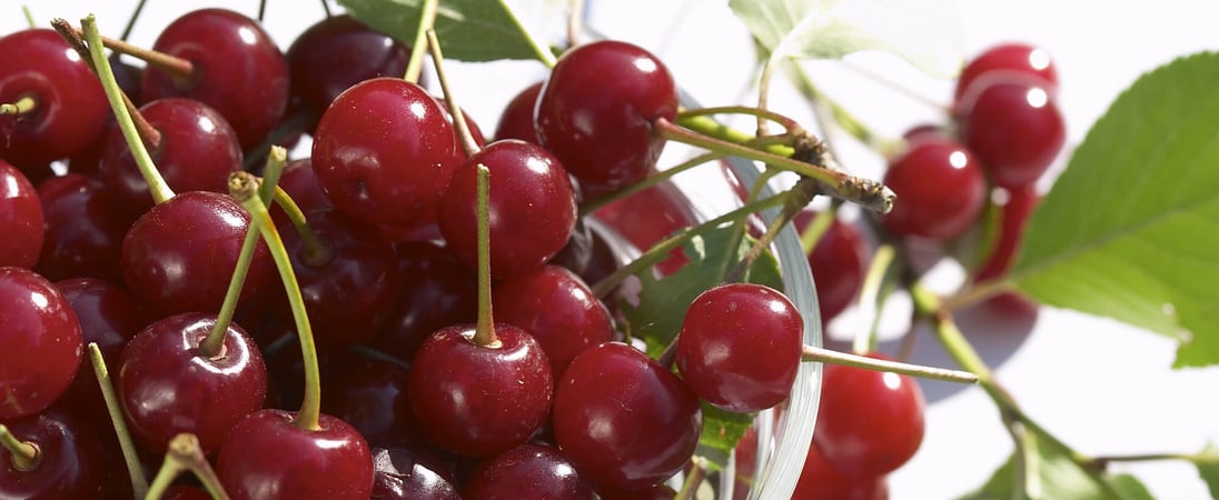 National Cherry Month